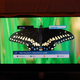 Illustration for article titled New Philips TVs Ambilight Your Way